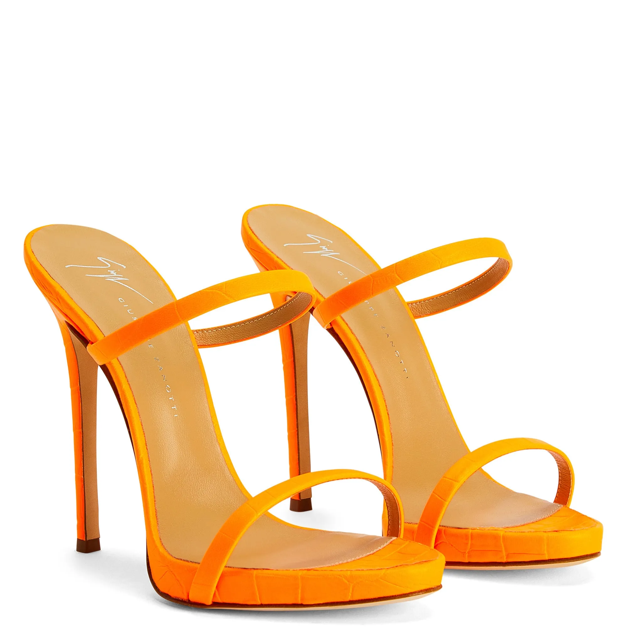 Giuseppe Zanotti Darsey